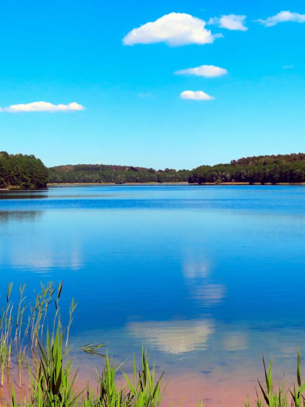 Natur & Seen